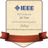 IEEE Fellow